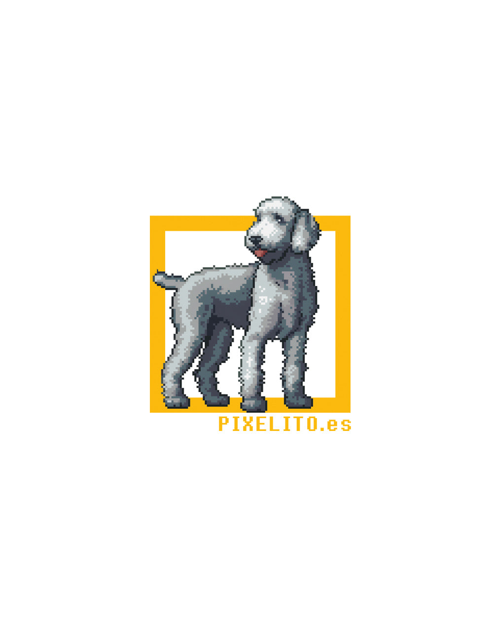 Bedlington Terrier - Azul - 021px