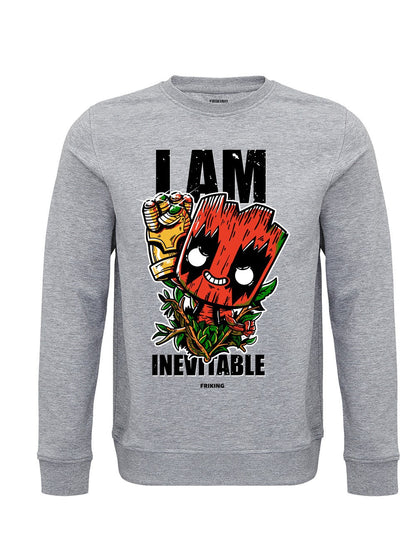  I am invincible 