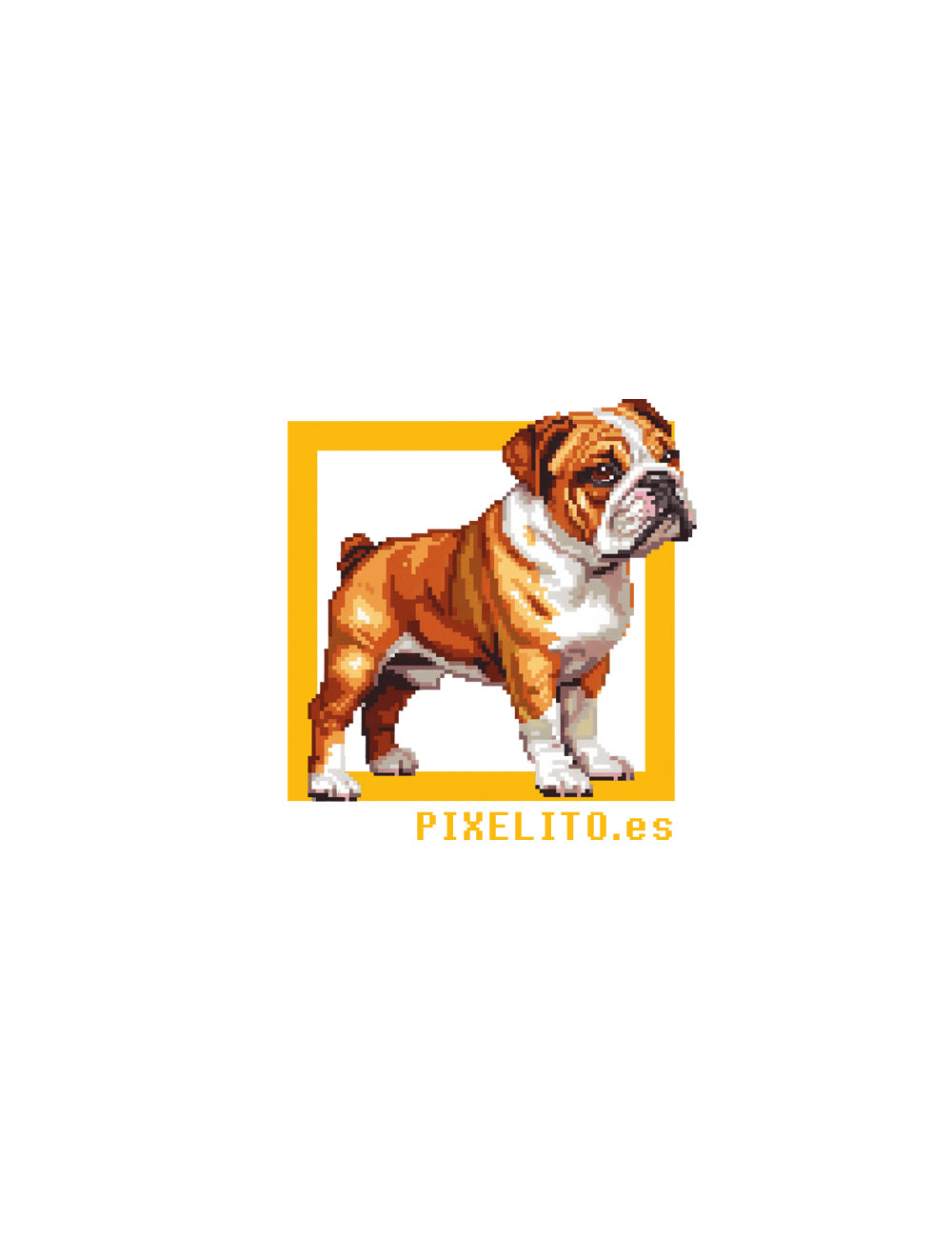 Bulldog francês - 026px
