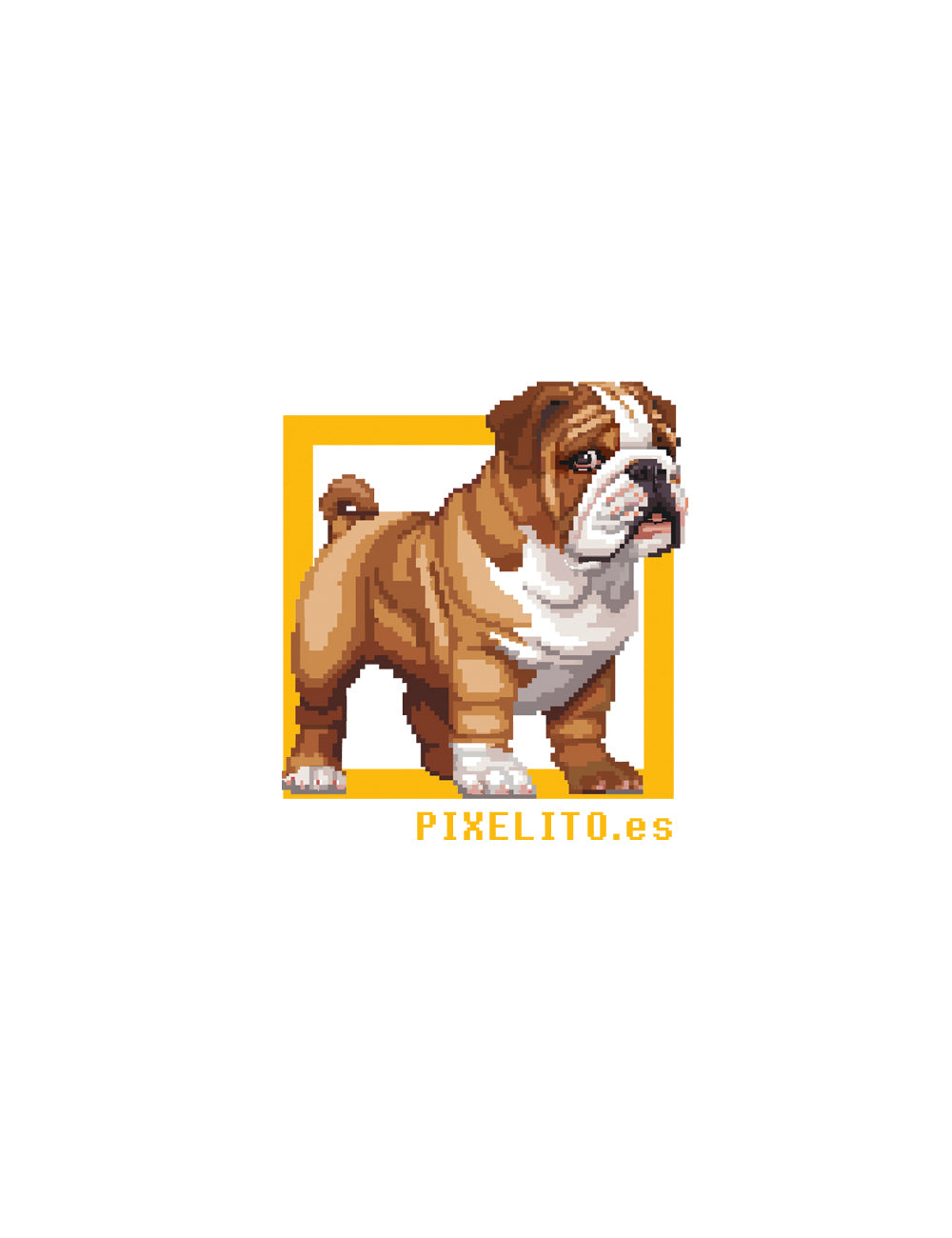 Bulldog inglês - 027px