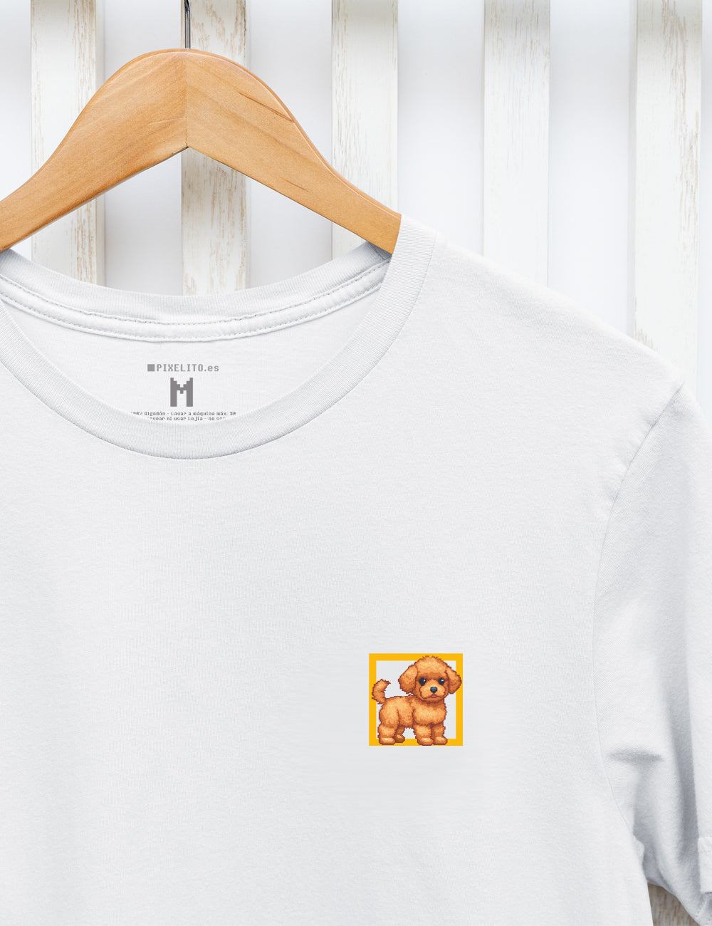 Maltipoo - 038px